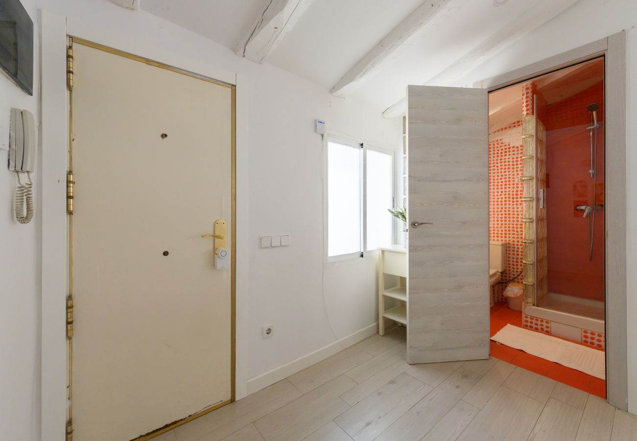 Apartamento em Madrid - Piso tipo loft de 1 dormitorio en el centro de Madrid. Temporal Apartamento em Madrid - Piso tipo loft de 1 dormitorio en el centro de Madrid. Temporal