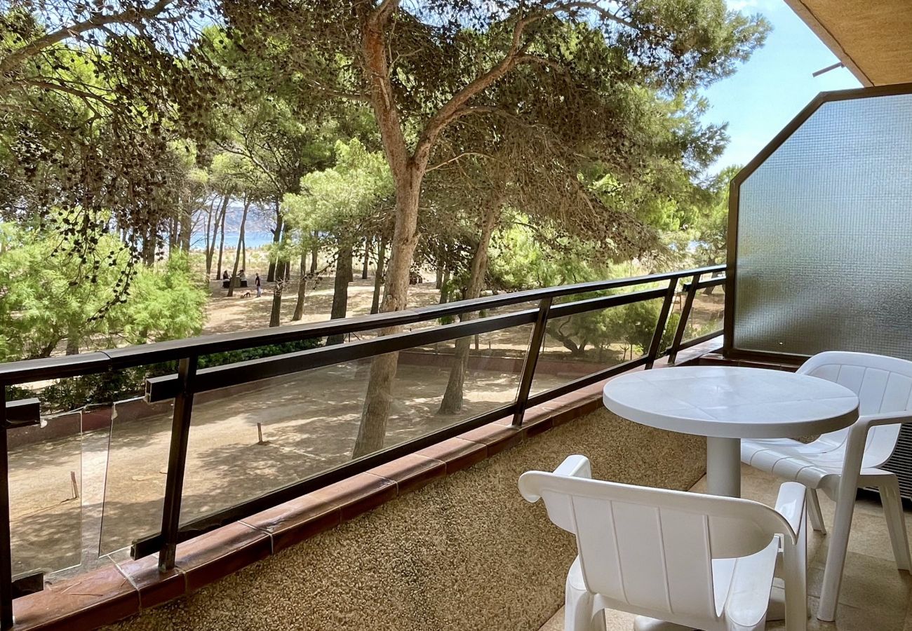 Apartamento em Estartit - LA PINEDA 12