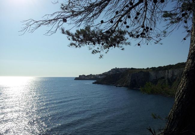 House in L'Escala - MONTGO PARK-3-bedrooms House in L'Escala - MONTGO PARK-3-bedrooms