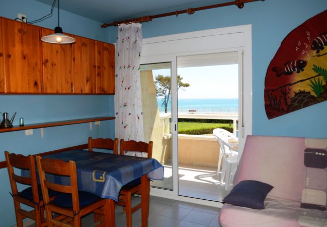 Studio in Estartit - ARGONAVIS 206 Studio in Estartit - ARGONAVIS 206