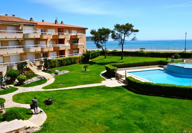 Studio in Estartit - ARGONAVIS 206 Studio in Estartit - ARGONAVIS 206