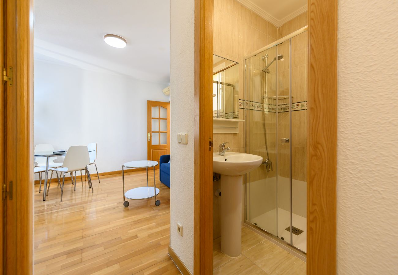 Apartment in Madrid -  MADRID Downtown Museo Reina Sofía-Atocha  Apartment in Madrid -  MADRID Downtown Museo Reina Sofía-Atocha