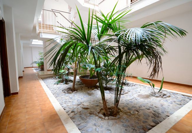 Apartment in Estartit - JARDINS DEL MAR 025 Apartment in Estartit - JARDINS DEL MAR 025