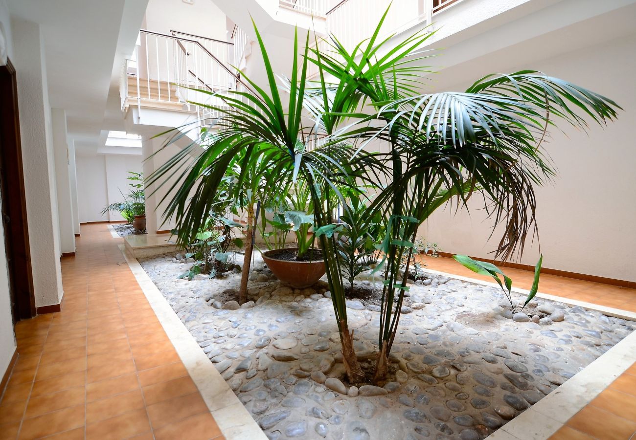 Apartment in Estartit - JARDINS DEL MAR 025 Apartment in Estartit - JARDINS DEL MAR 025
