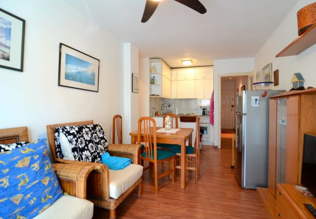 Apartment in Estartit - ROCAMAURA IV 1-4 Apartment in Estartit - ROCAMAURA IV 1-4