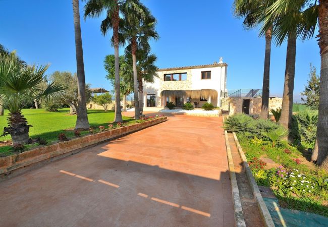 Country house in Muro - Son Sastre 024 luxurious villa with large swimming pool, air conditioning, garden and terrace Country house in Muro - Son Sastre 024 luxurious villa with large swimming pool, air conditioning, garden and terrace