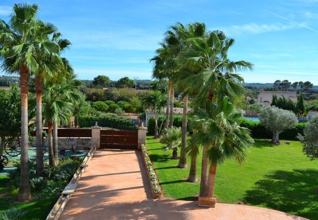 Country house in Muro - Son Sastre 024 luxurious villa with large swimming pool, air conditioning, garden and terrace Country house in Muro - Son Sastre 024 luxurious villa with large swimming pool, air conditioning, garden and terrace