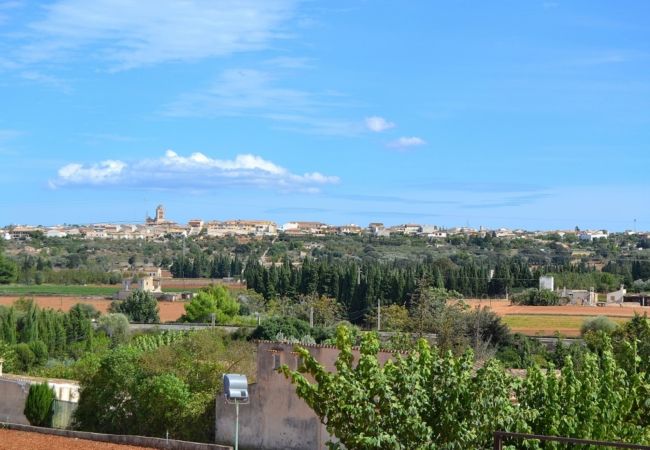 Country house in Muro - Son Sastre 024 luxurious villa with large swimming pool, air conditioning, garden and terrace Country house in Muro - Son Sastre 024 luxurious villa with large swimming pool, air conditioning, garden and terrace