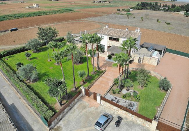 Country house in Muro - Son Sastre 024 luxurious villa with large swimming pool, air conditioning, garden and terrace Country house in Muro - Son Sastre 024 luxurious villa with large swimming pool, air conditioning, garden and terrace