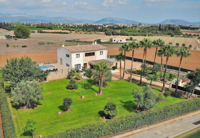 Country house in Muro - Son Sastre 024 luxurious villa with large swimming pool, air conditioning, garden and terrace Country house in Muro - Son Sastre 024 luxurious villa with large swimming pool, air conditioning, garden and terrace