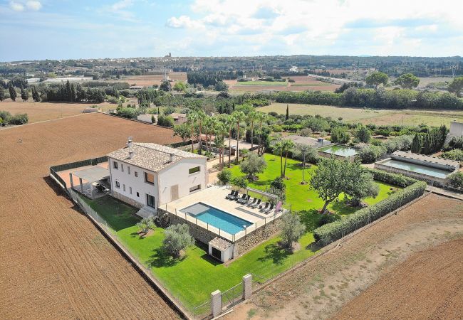 Country house in Muro - Son Sastre 024 luxurious villa with large swimming pool, air conditioning, garden and terrace Country house in Muro - Son Sastre 024 luxurious villa with large swimming pool, air conditioning, garden and terrace
