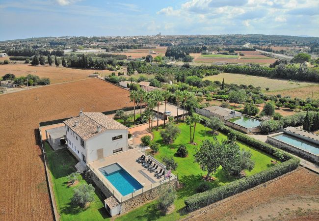 Country house in Muro - Son Sastre 024 luxurious villa with large swimming pool, air conditioning, garden and terrace Country house in Muro - Son Sastre 024 luxurious villa with large swimming pool, air conditioning, garden and terrace