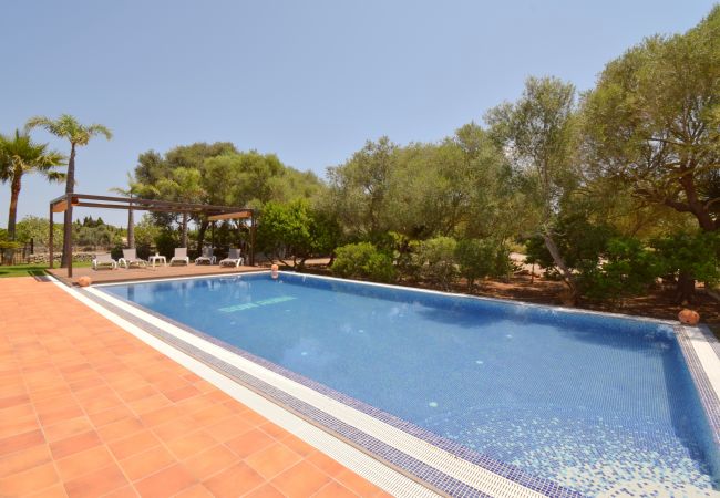 Country house in Muro - Son Auba Gran 043 fantastic villa in the nature, private pool, barbecue and WiFi Country house in Muro - Son Auba Gran 043 fantastic villa in the nature, private pool, barbecue and WiFi