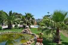 Photo of the pool of the finca in Inca Mallorca