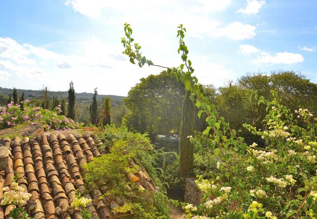 Country house in Llubi - Son Barraquer 047 traditional finca with pool and magnificent garden Country house in Llubi - Son Barraquer 047 traditional finca with pool and magnificent garden