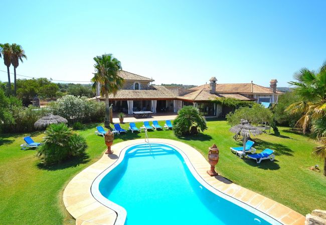 The house has a pool for a perfect holiday