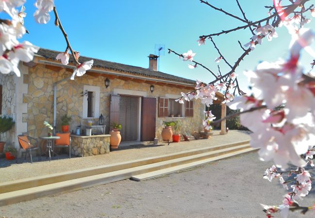 Country house in Ariany - Sa Rota 078 fantastic finca with private pool, garden, ping pong and fibre optics Country house in Ariany - Sa Rota 078 fantastic finca with private pool, garden, ping pong and fibre optics