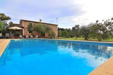 house, finca, swimming pool, garden, green, blue, barbecue 