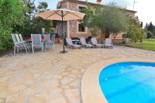 Terrace, swimming pool, blue, water, sun lounger, green, nature 