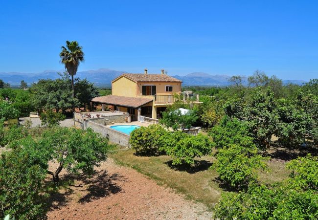 Country house in Sineu - Finca Son Rossinyol 128 by Mallorca Charme Country house in Sineu - Finca Son Rossinyol 128 by Mallorca Charme