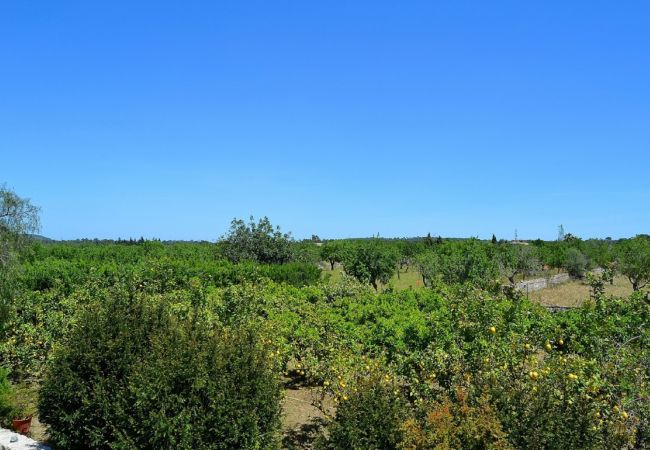 Country house in Sineu - Finca Son Rossinyol 128 by Mallorca Charme Country house in Sineu - Finca Son Rossinyol 128 by Mallorca Charme