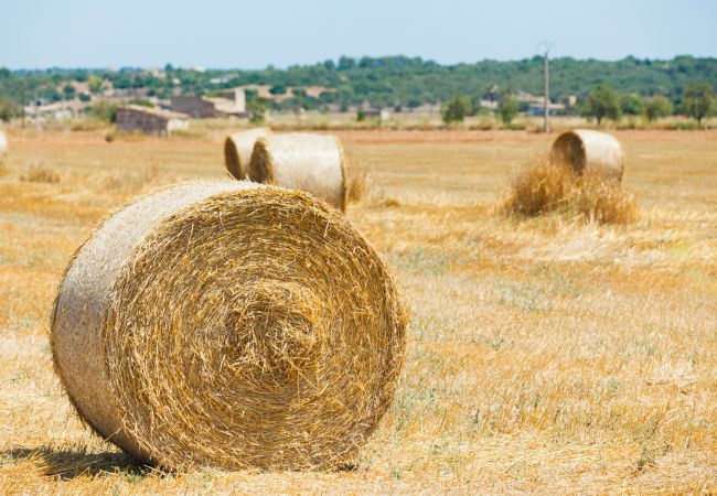 Country house in Sineu - Finca Son Rossinyol 128 by Mallorca Charme Country house in Sineu - Finca Son Rossinyol 128 by Mallorca Charme
