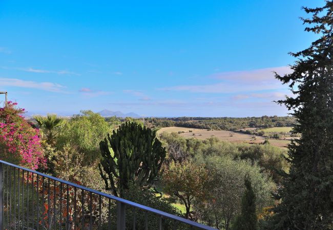 House in Muro - Cas Padri 130 fantastic house with air-conditioning, spectacular terrace, barbecue and WiFi House in Muro - Cas Padri 130 fantastic house with air-conditioning, spectacular terrace, barbecue and WiFi