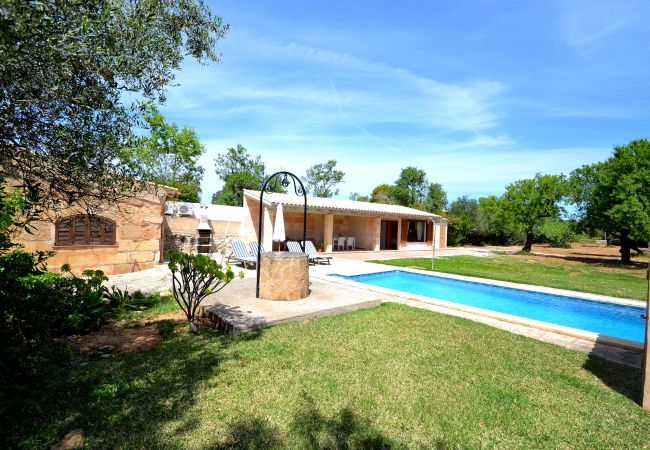 Country house in Alcúdia - Els Olivers 138 rustic finca with private swimming pool, air conditioning, terrace and barbecue Country house in Alcúdia - Els Olivers 138 rustic finca with private swimming pool, air conditioning, terrace and barbecue