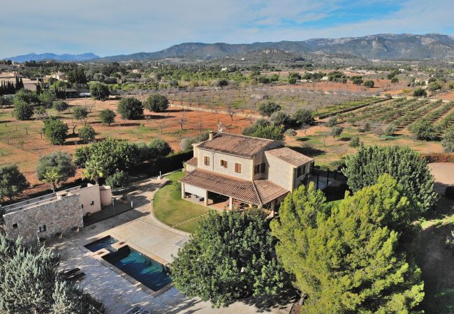 Country house in Binissalem - Es Triquet 151 cosy villa with private pool, terrace, BBQ and WiFi Country house in Binissalem - Es Triquet 151 cosy villa with private pool, terrace, BBQ and WiFi