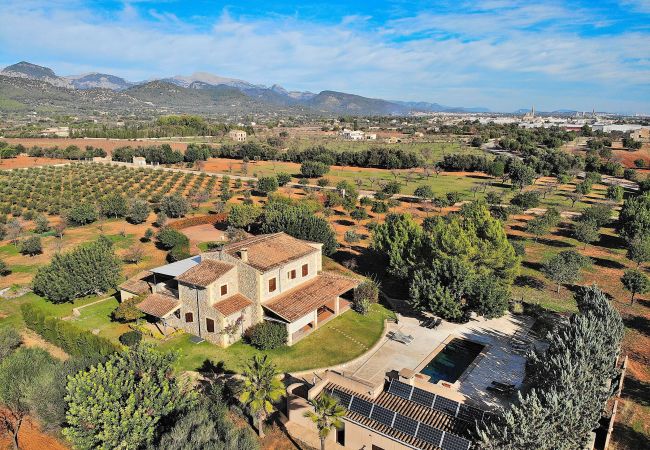 Country house in Binissalem - Es Triquet 151 cosy villa with private pool, terrace, BBQ and WiFi Country house in Binissalem - Es Triquet 151 cosy villa with private pool, terrace, BBQ and WiFi