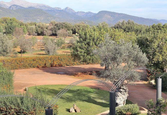 Country house in Binissalem - Es Triquet 151 cosy villa with private pool, terrace, BBQ and WiFi Country house in Binissalem - Es Triquet 151 cosy villa with private pool, terrace, BBQ and WiFi