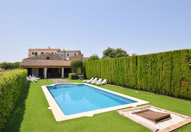 Swimming pool in a village house in Llubi Majorca for large groups Swimming pool in a village house in Llubi Majorca for large groups