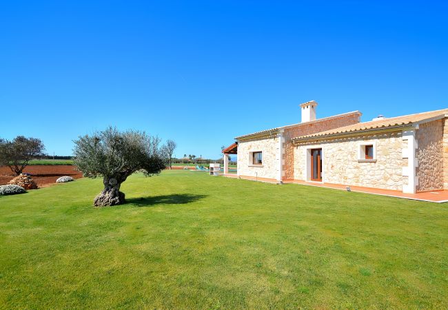 Country house in Muro - Flor de Sal 178 majestic modern villa with private pool, air-conditioning and BBQ Country house in Muro - Flor de Sal 178 majestic modern villa with private pool, air-conditioning and BBQ