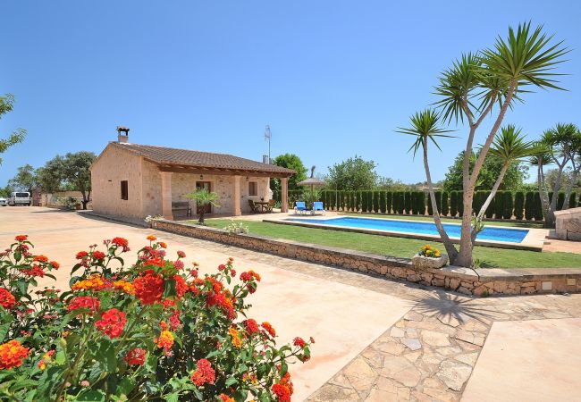 Country house in Santa Margalida - S'Estret 184 magnificent finca with private swimming pool, terrace, cosy garden and table tennis Country house in Santa Margalida - S'Estret 184 magnificent finca with private swimming pool, terrace, cosy garden and table tennis