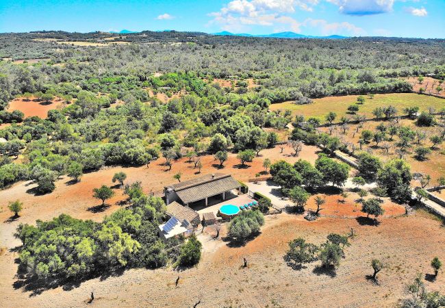 Country house in Llubi - Son Rossignol 193 finca with private swimming pool, large terrace, barbecue and WiFi Country house in Llubi - Son Rossignol 193 finca with private swimming pool, large terrace, barbecue and WiFi
