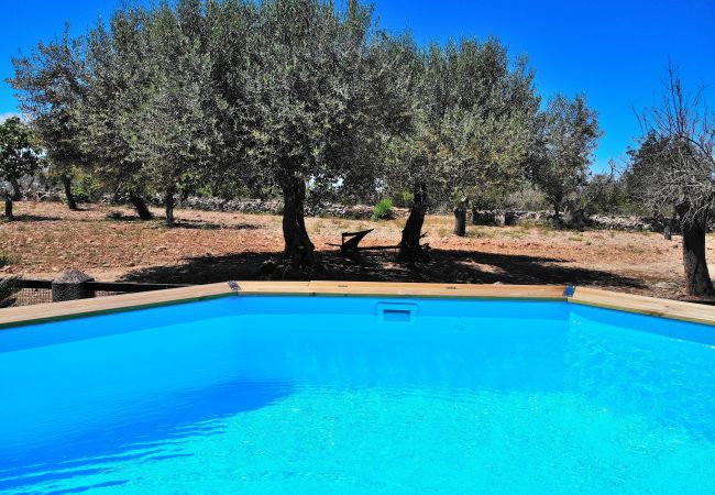Country house in Llubi - Son Rossignol 193 finca with private swimming pool, large terrace, barbecue and WiFi Country house in Llubi - Son Rossignol 193 finca with private swimming pool, large terrace, barbecue and WiFi
