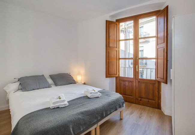 Apartment in Gerona/Girona - Flateli Cort Reial 3 Apartment in Gerona/Girona - Flateli Cort Reial 3