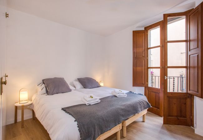 Apartment in Gerona/Girona - Flateli Cort Reial 3 Apartment in Gerona/Girona - Flateli Cort Reial 3