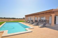 Swimming pool, Nature, Holiday, Peace and quiet, Renting 