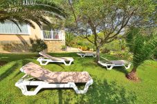 Garden, green, hammocks, sunbathing