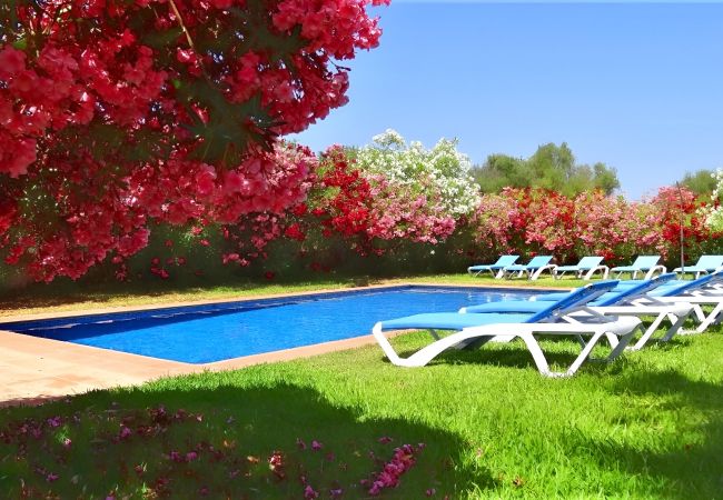 Country house in Felanitx - Son Mas 402 wonderful rustic finca with private pool, terrace, garden and air conditioning Country house in Felanitx - Son Mas 402 wonderful rustic finca with private pool, terrace, garden and air conditioning