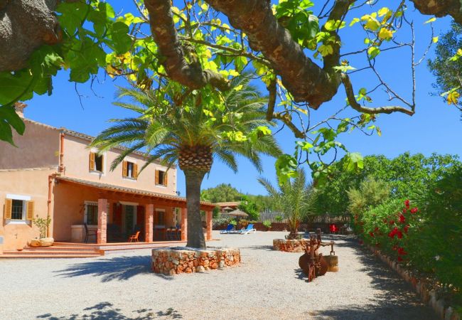 Country house in Campos - Alcoraia 408 traditional finca with private pool, terrace, barbecue and air conditioning Country house in Campos - Alcoraia 408 traditional finca with private pool, terrace, barbecue and air conditioning