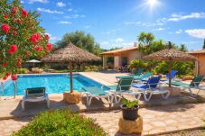 Country house in Campos - Can Bril 409 rustic finca with private pool, terrace, garden and WiFi