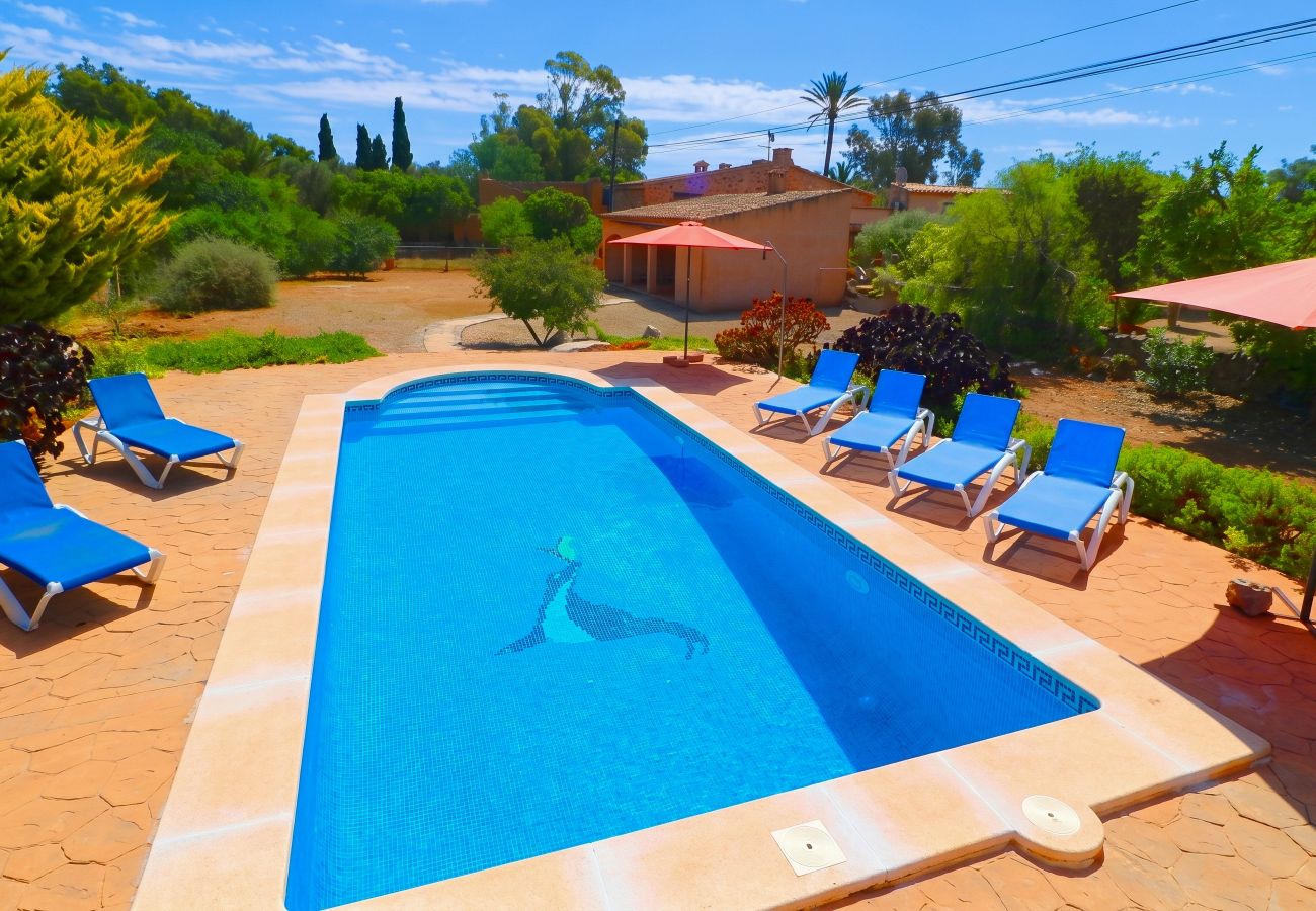 Country house in Es Llombards - Can Cova 413 rustic finca with private pool, terrace, air conditioning and WiFi