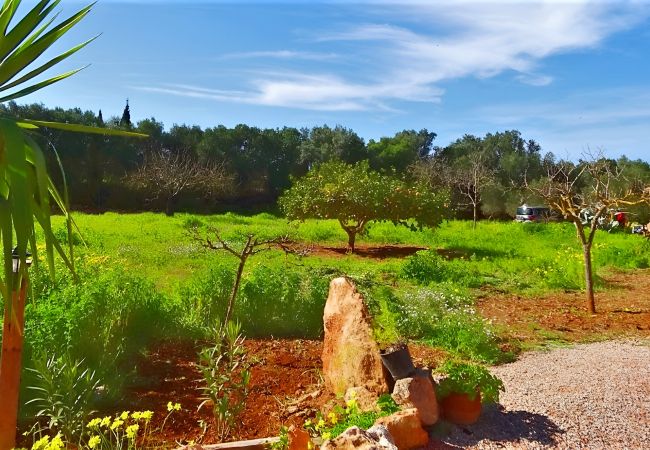 Country house in Llucmajor - Son Antem 420 fantastic finca with private pool, terrace, barbecue and air conditioning Country house in Llucmajor - Son Antem 420 fantastic finca with private pool, terrace, barbecue and air conditioning