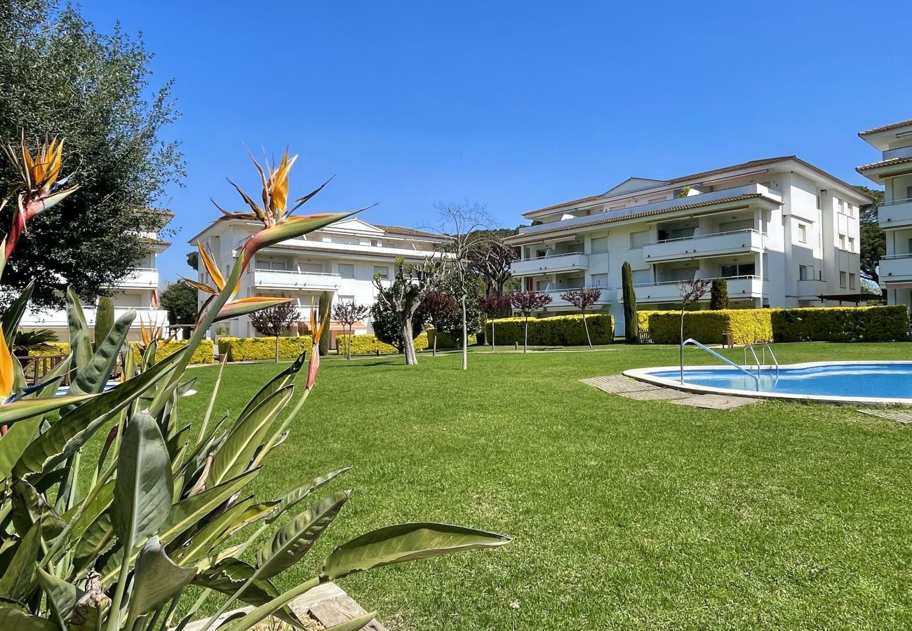 Apartment in Pals - GREEN MAR A 302 Apartment in Pals - GREEN MAR A 302