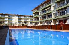 Apartment in Estartit - OMEGA 12 2-A