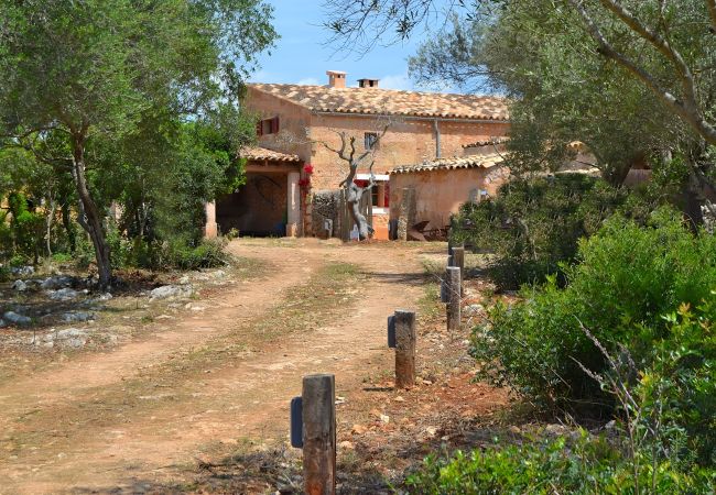 Cottage in Llubi - Can Cortana 005 fantastic finca with private swimming pool, children's area, ping pong and air conditioning Cottage in Llubi - Can Cortana 005 fantastic finca with private swimming pool, children's area, ping pong and air conditioning