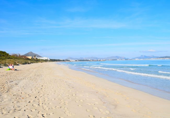 Apartment in Alcúdia - Fantastic 174 magnificent flat on the beach, with balcony, air conditioning and WiFi Apartment in Alcúdia - Fantastic 174 magnificent flat on the beach, with balcony, air conditioning and WiFi