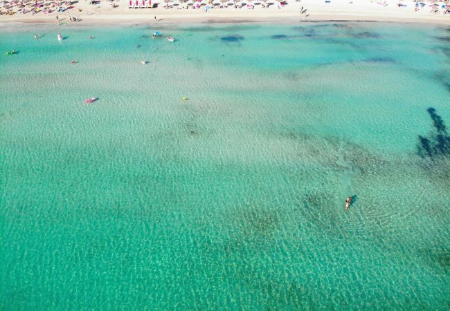 Apartment in Alcúdia - Fantastic 174 magnificent flat on the beach, with balcony, air conditioning and WiFi Apartment in Alcúdia - Fantastic 174 magnificent flat on the beach, with balcony, air conditioning and WiFi